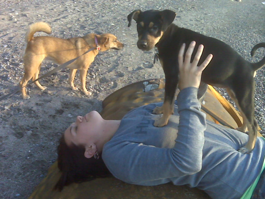 Beach Bums II.jpg