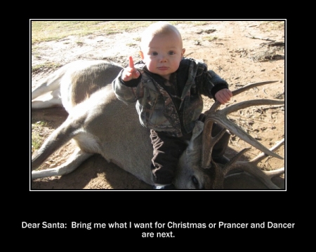 xmas_deer_464314.jpg