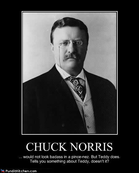 political-pictures-teddy-roosevelt-chuck-norris.jpg